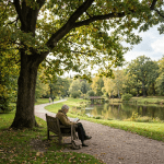 Elderly man sitting on park bench reading beside lake under large tree